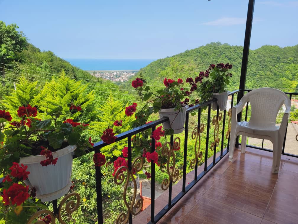 بمنظرٍ ساحرٍ للبحرِ والغابةِ معًا